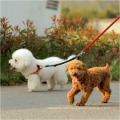 Deux voies en nylon double poignée chien laisse rétractable chien plomb coupleur Walk 2 chiens 1 plomb conduit chien laisse